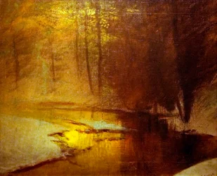 Lumières dorées dans la forêt d